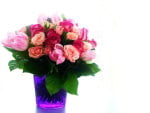 Roses in vase