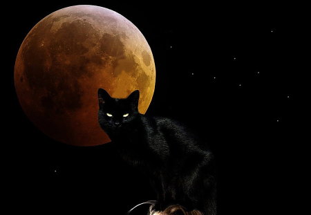 Moon cat - moon, witch, abstract, cat, feline, kitten