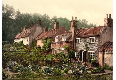 Lighthouse Score, Lowestoft, England - village, house, england, garden