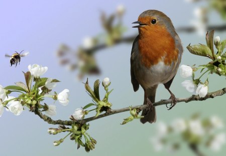 Little bird - flower, forest, animal, bird, nature