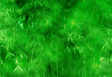 Rumpun Bambu - clouds, forest, bamboo, green