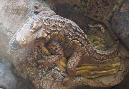 TREE CARVING - carving, alligator, wood art, lovely