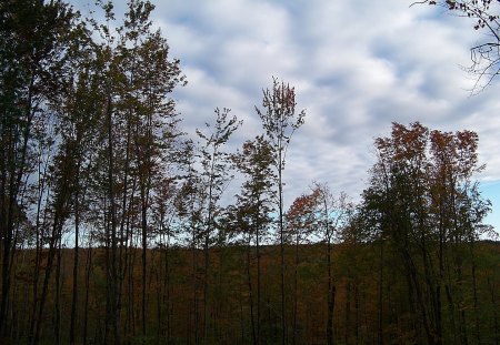 autumn in industry, maine 2 - clouds, fall, trees, autumn, industry, maine, sky