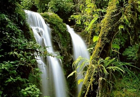 Waterfalls - nature, waterflls, other, beautiful