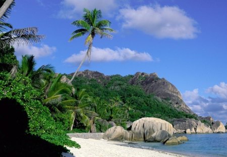 Beach - nature, beach, other, beautiful