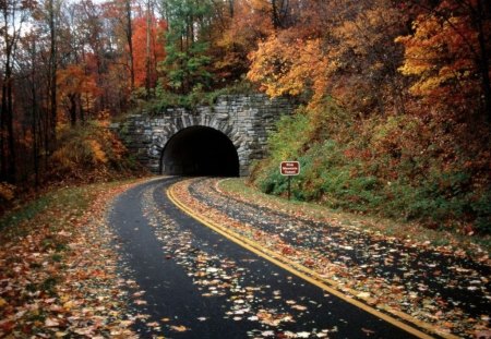 Autumn - nature, beautiful, autumn, other