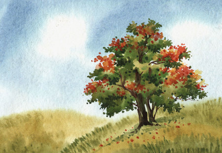 Tree on hill - tree, painting, nature, art