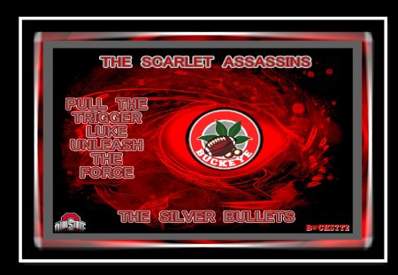 PULL THE TRIGGER LUKE - ohio, state, football, scarlet assassins, silver bullets