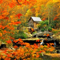 Autumn mill