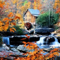 Autumn landscape