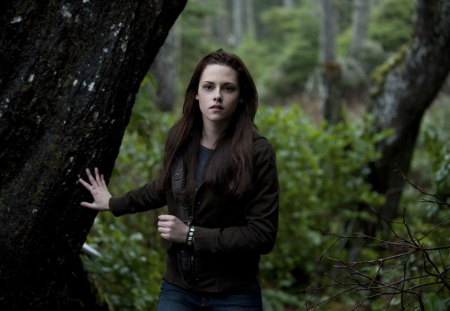 THE TWILIGHT SAGA BRAKING DOWN PART 1 WALPAPER HD 720P - women, babe, amazing, beautiful, hot, girl, nice, sexy