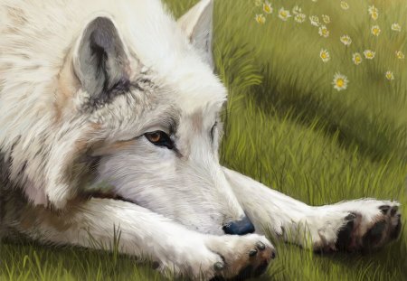 Spring wolf - wolf, art, animals, dog, white wolf, spring