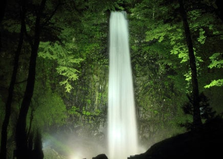 Forest Waterfall - sunlight, trees, water, pool, green, rainforest, dense