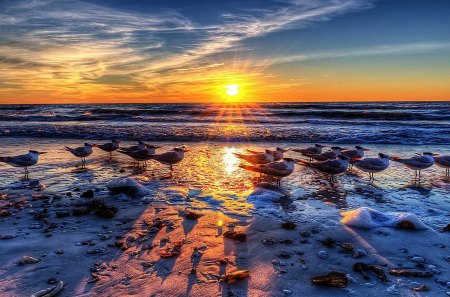 Sunset - nature, beach, sunset, other