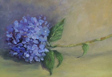 A single hydrangea .... - single, blue, painting, cute, flower, hydrangea