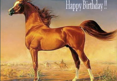 HAPPY BIRTHDAY BETTY - black, arabian, greetings, brown, horse, birthday