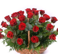 Red roses