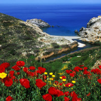 Ikaria