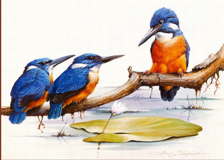 AZURE KINGFISHERS - fisheaters, trio, lilly pad, branch