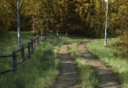 Road to Fall - trees, road, grass, fence, firefox persona, fall, path, autumn, leaaves, drive, color