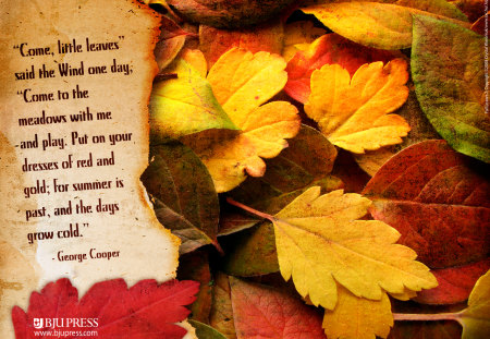 Autumn Leaves - fall, poem, golden, leaves