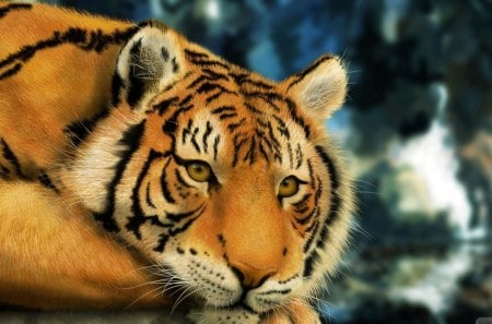 Tiger - tiger, big cat, feline, painting, art