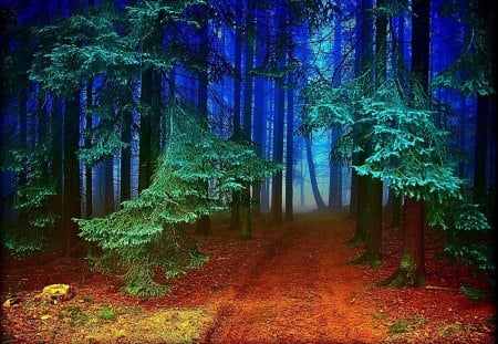 Blue Forest - nature, forest, blue, beautiful