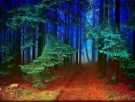 Blue Forest