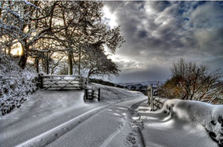 SNOWY GATEWAYS - clouds, trees, winter, snow, gateways, sky