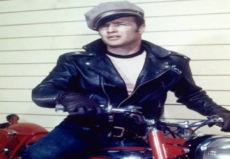 MARLON BRANDON IS THE WILD ONE - usa, movies, actors, action