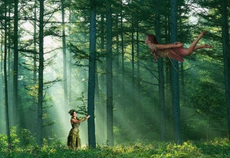 Forest Fairy - fairy, fantasy, forest, fairy tales