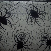 SPIDERS IN THE WEB