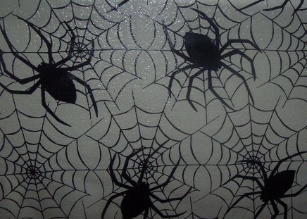 SPIDERS IN THE WEB - spider, spooky, webs, creepy