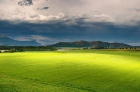 Smooth - field, sky, clouds, grass