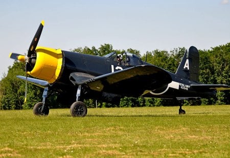 F4U Corsair - ww2, wwii, vought, f4u, plane, corsair