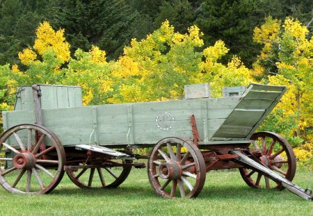 Old Time Carriage - carriage, wooden, wood, old