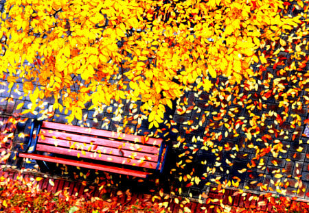 Autumn Leaves - beauty, autumn, carpet, trees, peaceful, colorful, bench, autumn leaves, path, carpet of leaves, road, fall, yellow, romance, tree, way, park, lovely, nature, shade, autumn colors, romantic, alley, beautiful, leaves, splendor, colors, fallen