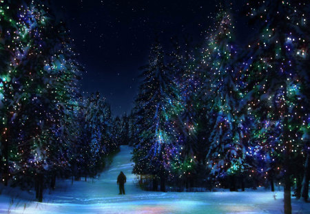 Festive Winter - lights, winter, trees, festive, snow