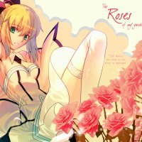 Saber Roses