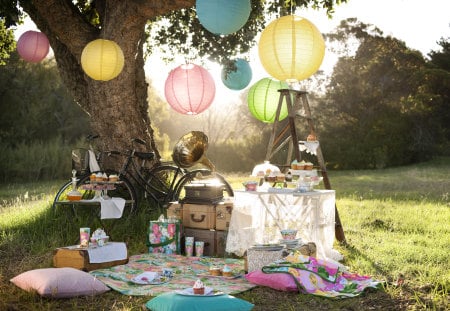 Picnic - nice, sweets, fun, beauty, trees, photography, gramophone, pretty, cool, meadow grass, table, lace, party, food, retro, harmony, trunks, ladder, picnic, pillows, bicycle, lovely, nature, beautiful, sweet, colors, drinks, cakes