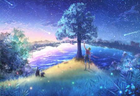 Kuro - cat, scenic, piku, trees, stars