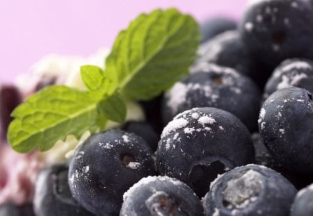 Blueberries - leaf, berries, fruit, blue