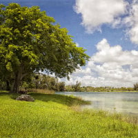 A Summer Day