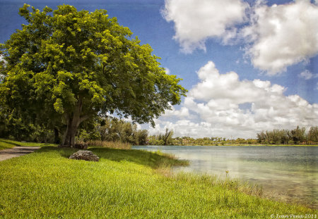 A Summer Day - nature, summer, landscape, day