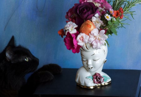 Exploring.... - black cat, flowers, still life, arrangement