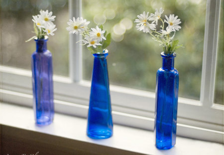 Memories of Spring - memories, flowers, windowsill, spring, blue vases, still life