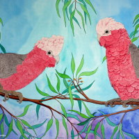 PINK AND GREY GALAH'S