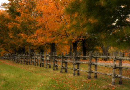 Colors of autumn - amazing, beautiful, road, colors, fench, leaves, fall, nature, background, country