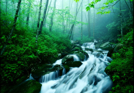 Kentucky Summer - trees, water, summer, rivers, kentucky, green, breathtaking, rocks, woods