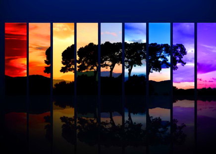 Colors of the day - abstract, evening, sunrise, colors, morning, tree, sunset, daytime, sky